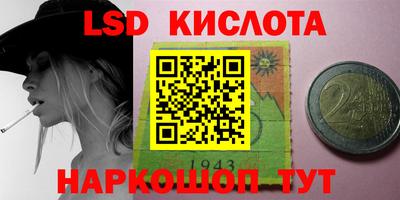 гидропоника Пенза