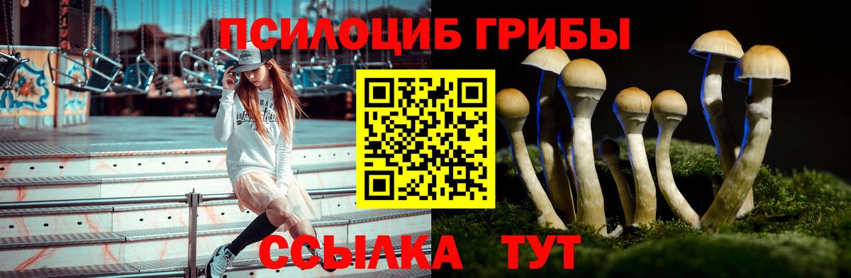 Псилоцибиновые грибы MAGIC MUSHROOMS  Галлюциногенные грибы MAGIC MUSHROOMS  Саров  Вход с VPN 